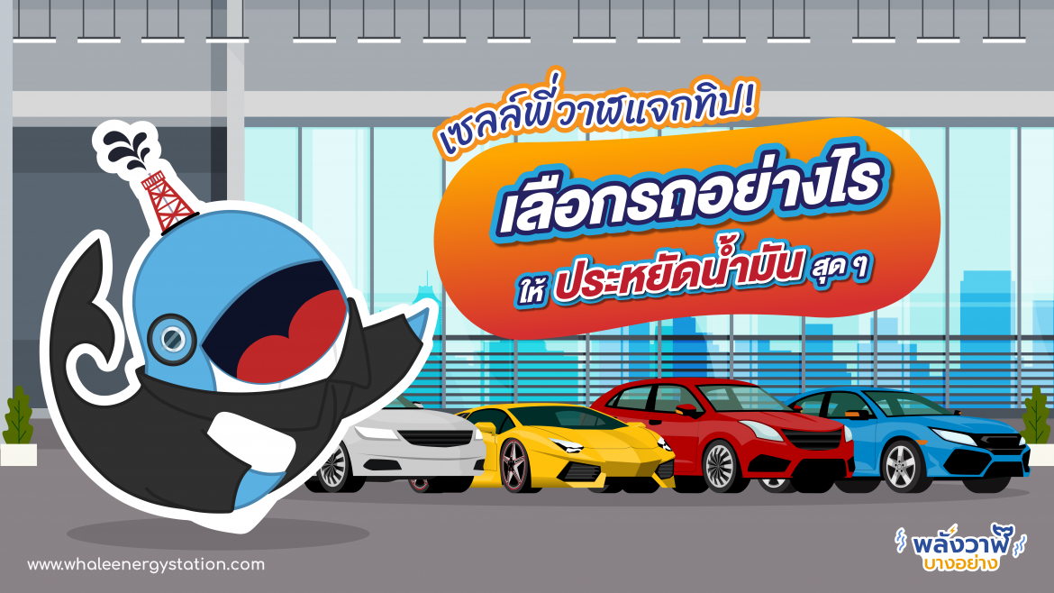 เซลล์พี่วาฬแจกทิป! เลือกรถอย่างไรให้ประหยัดน้ำมันสุดๆ