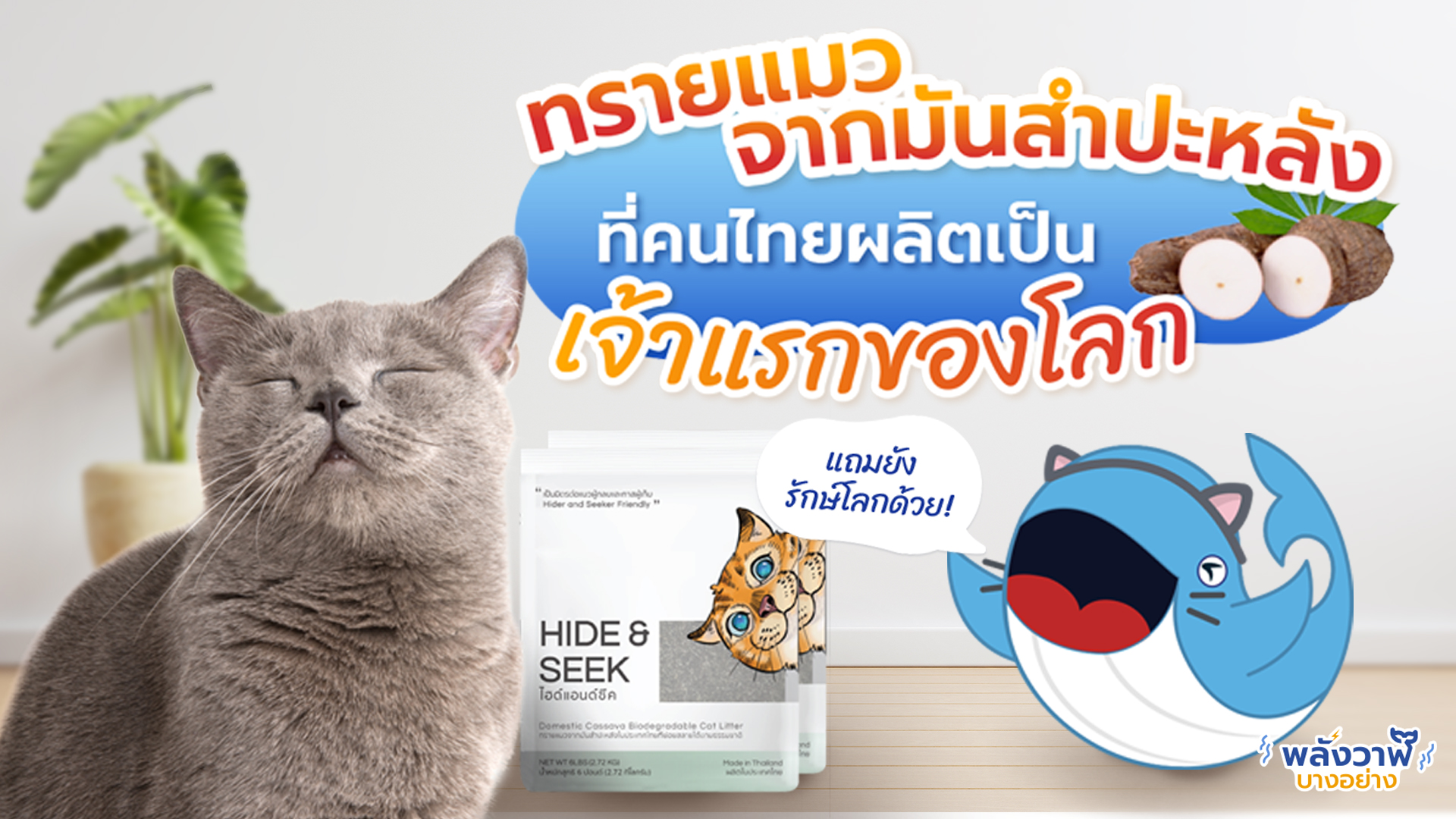 ทรายแมวจากมันสำปะหลังที่คนไทยผลิตเป็นเจ้าแรกของโลก, Whale Energy Station