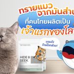 ทรายแมวจากมันสำปะหลังที่คนไทยผลิตเป็นเจ้าแรกของโลก, Whale Energy Station