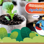 แกนประดาษทิชชูปลูกต้นไม้น่ารักๆ ได้นะ, Whale Energy Station