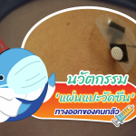 นวัตกรรม ‘แผ่นแปะวัคซีน’ ทางออกของคนกลัวเข็ม, Whale Energy Station