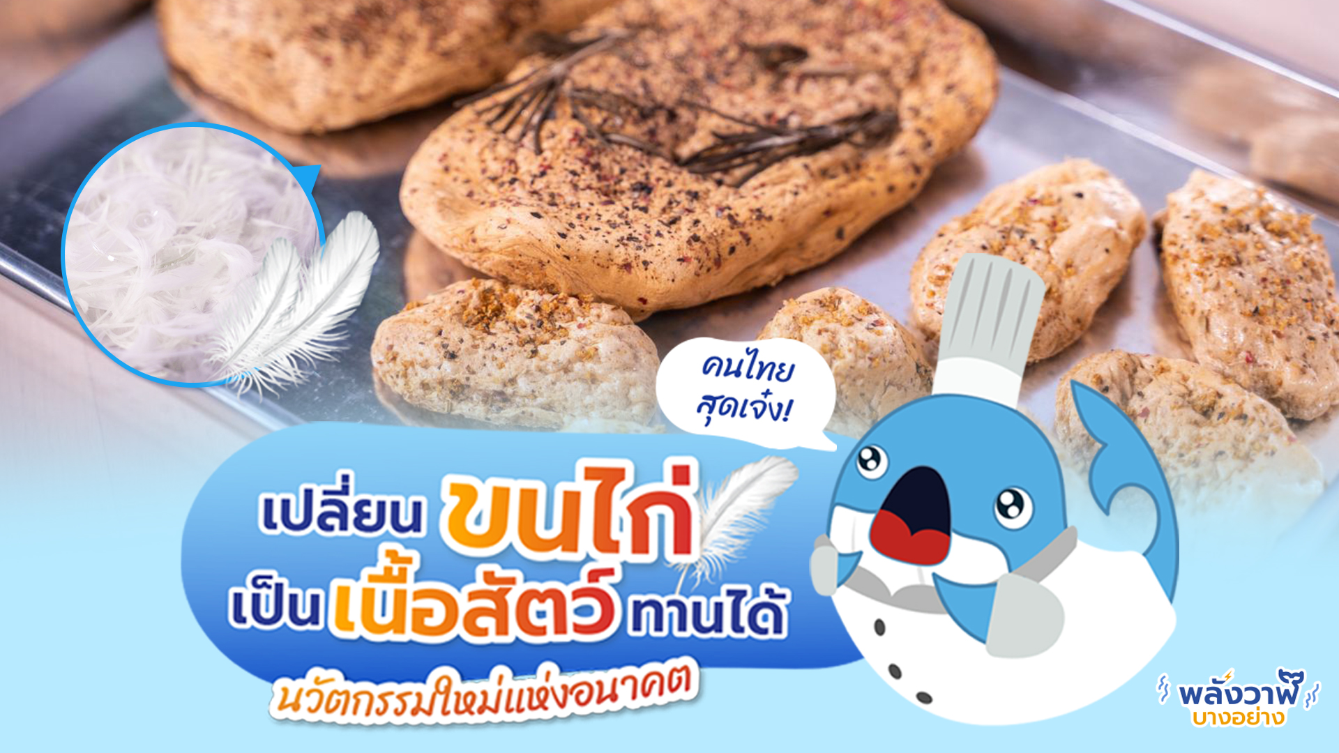 เปลี่ยนขนไก่เป็นเนื้อสัตว์ทานได้ นวัตกรรมใหม่แห่งอนาคต, Whale Energy Station
