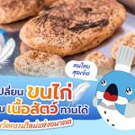เปลี่ยนขนไก่เป็นเนื้อสัตว์ทานได้ นวัตกรรมใหม่แห่งอนาคต, Whale Energy Station