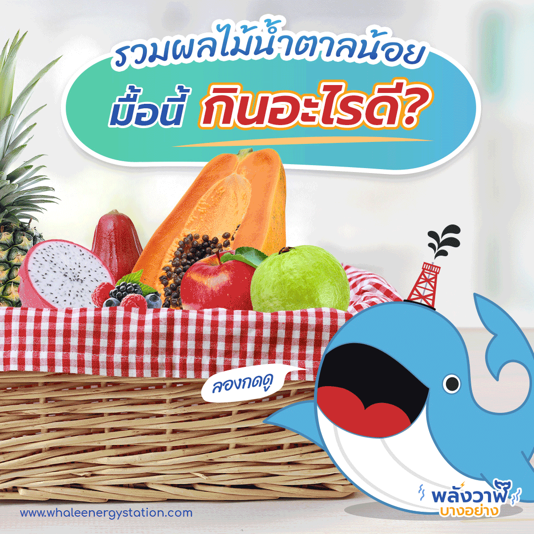 รวมผลไม้น้ำตาลน้อย มื้อนี้กินอะไรดี?, Whale Energy Station