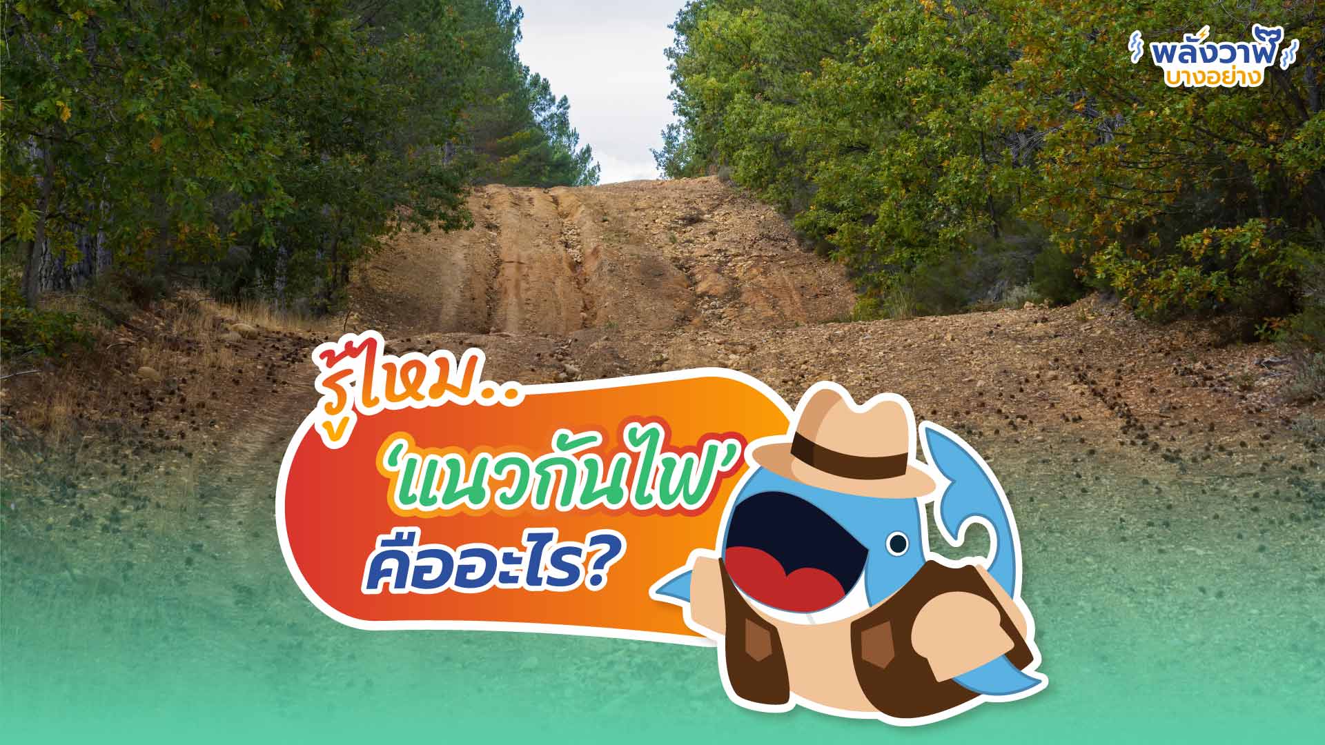 รู้ไหม.. ‘แนวกันไฟ’ คืออะไร?, Whale Energy Station