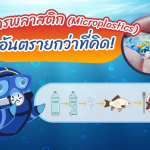 ไมโครพลาสติก (Microplastics) อันตรายกว่าที่คิด!, Whale Energy Station