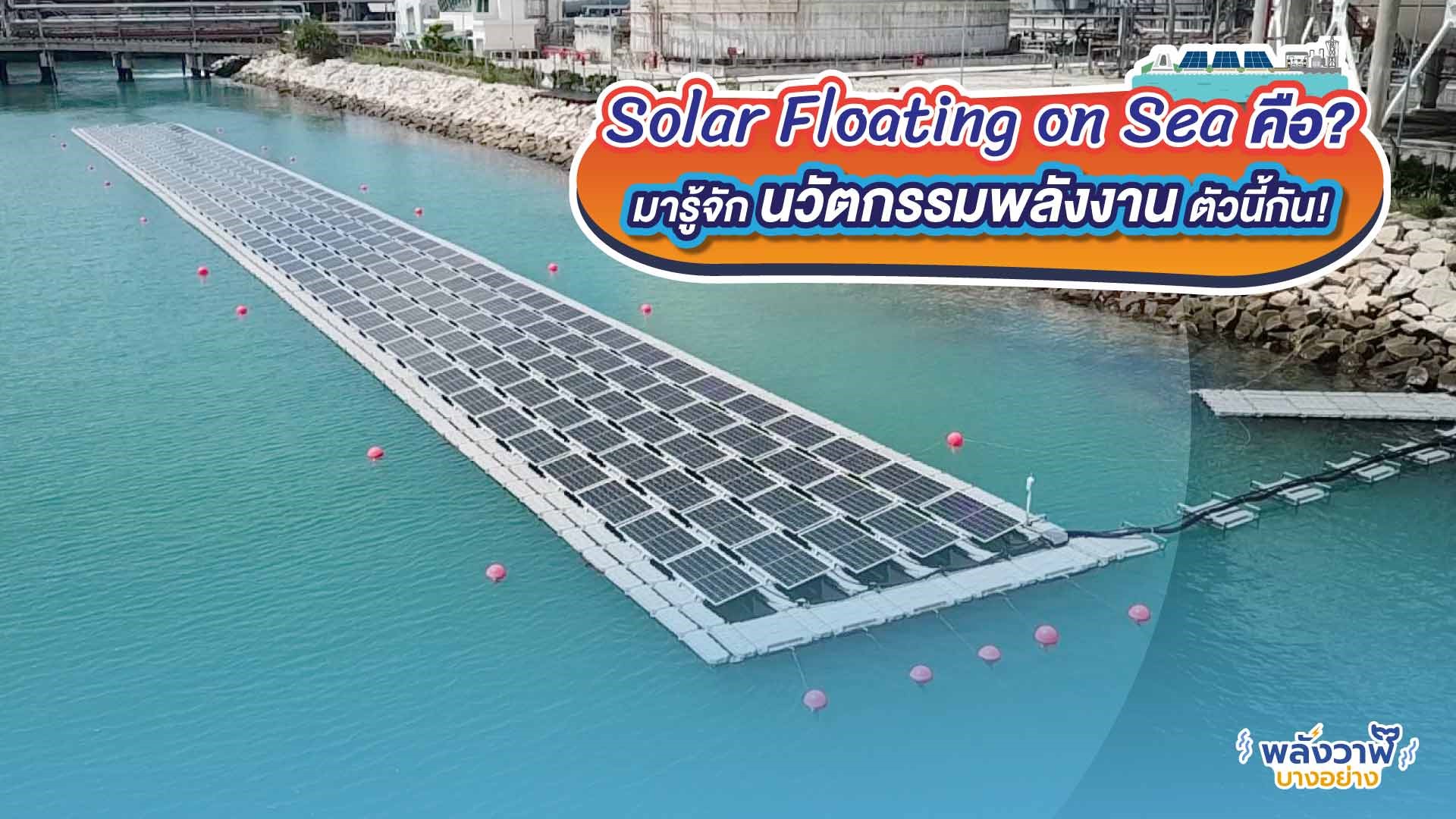 Solar Floating on Sea คือ? มารู้จักนวัตกรรมพลังงานตัวนี้กัน!, Whale Energy Station