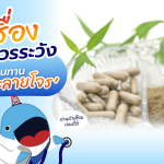 5 เรื่องควรระวังก่อนทาน ‘ฟ้าทะลายโจร’, Whale Energy Station