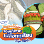 ไอเดียเด็กไทย “รองเท้าจากเปลือกทุเรียน” ใส่นุ่ม รักษ์โลก, Whale Energy Station