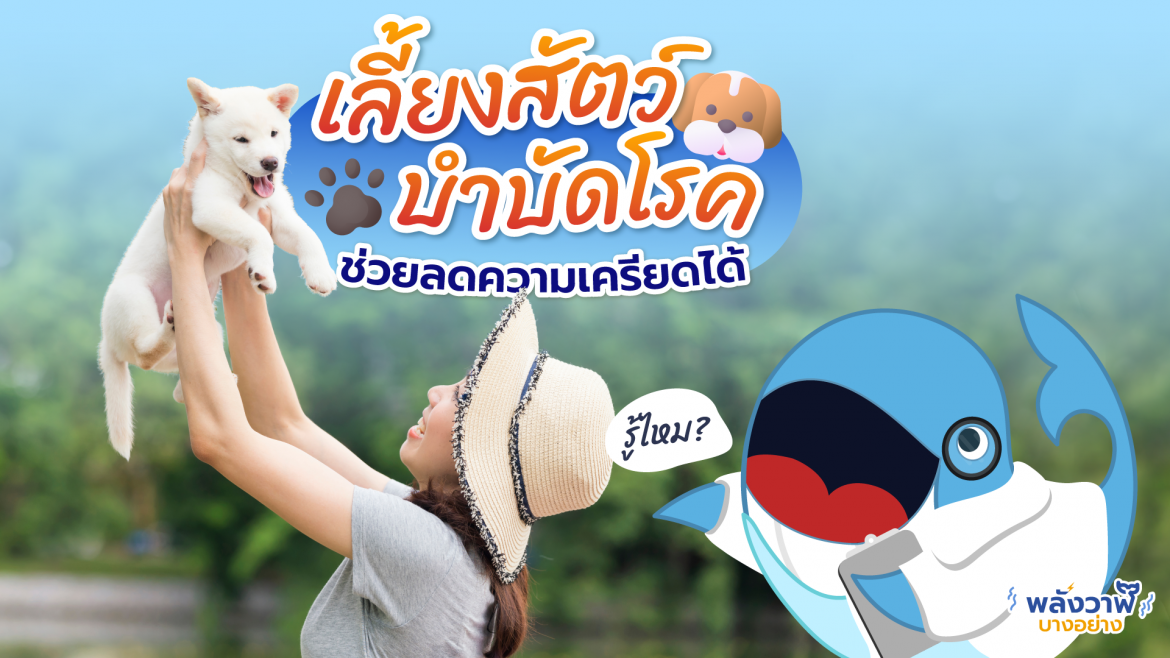 เลี้ยงสัตว์บำบัดโรค ช่วยลดความเครียดได้
