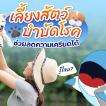 เลี้ยงสัตว์บำบัดโรค ช่วยลดความเครียดได้, Whale Energy Station
