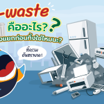 E-waste คืออะไร? ต้องแยกก่อนทิ้งใช้มั้ย?, Whale Energy Station