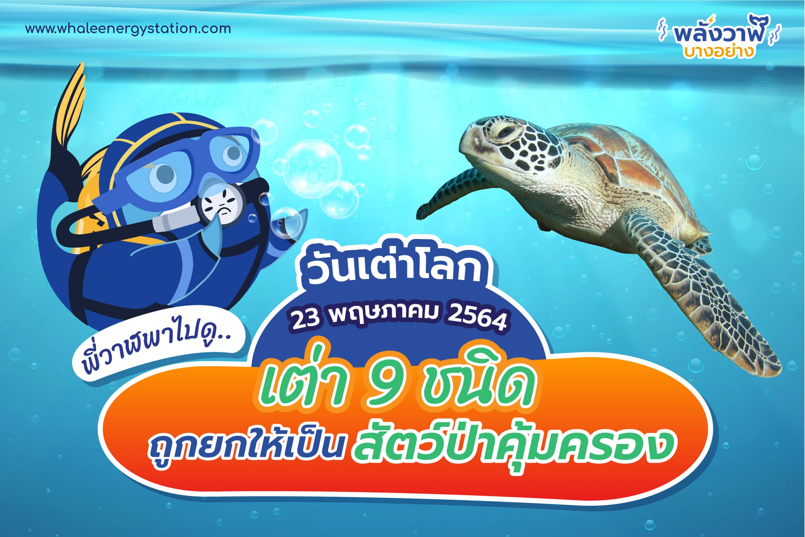 วันเต่าโลก 23 พฤษภาคม 2564 พี่วาฬพาไปดู&#8230;เต่า 9 ชนิดถูกยกให้เป็นสัตว์ป่าคุ้มครอง, Whale Energy Station