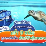 วันเต่าโลก 23 พฤษภาคม 2564 พี่วาฬพาไปดู&#8230;เต่า 9 ชนิดถูกยกให้เป็นสัตว์ป่าคุ้มครอง, Whale Energy Station