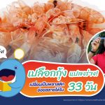 เปลือกกุ้งแปลงร่าง! เปลี่ยนเป็นพลาสติกย่อยสลายได้ใน 33 วัน, Whale Energy Station