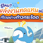 รู้ไหม? พลังงานทดแทนชนิดใดที่โตอย่างก้าวกระโดด, Whale Energy Station
