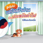 รู้หรือไม่ แค่ปิดผ้าม่านช่วยประหยัดค่าไฟได้ในระดับหนึ่ง, Whale Energy Station