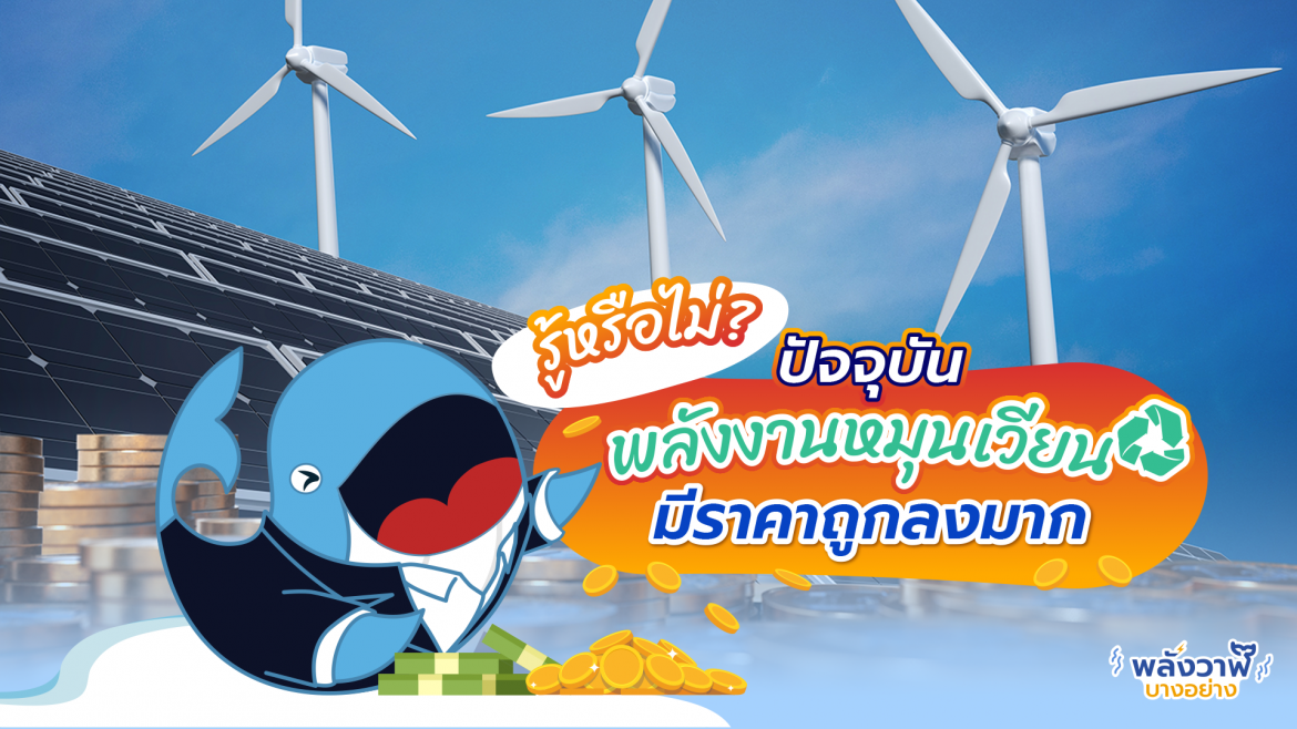 รู้หรือไม่? ปัจจุบัน พลังงานหมุนเวียนมีราคาถูกลงมาก
