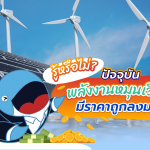 รู้หรือไม่? ปัจจุบัน พลังงานหมุนเวียนมีราคาถูกลงมาก, Whale Energy Station