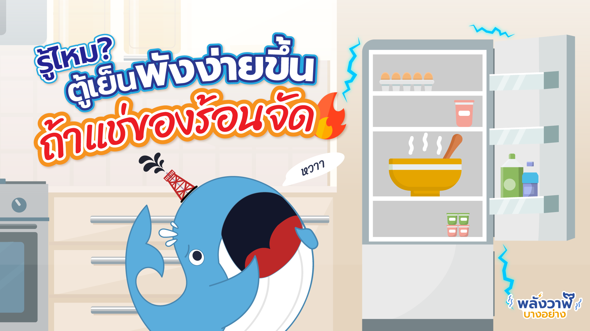 รู้ไหม? ตู้เย็นพังง่ายขึ้น ถ้าแช่ของร้อนจัด, Whale Energy Station