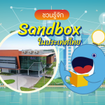 ชวนรู้จัก Sandbox ในประเทศไทย, Whale Energy Station