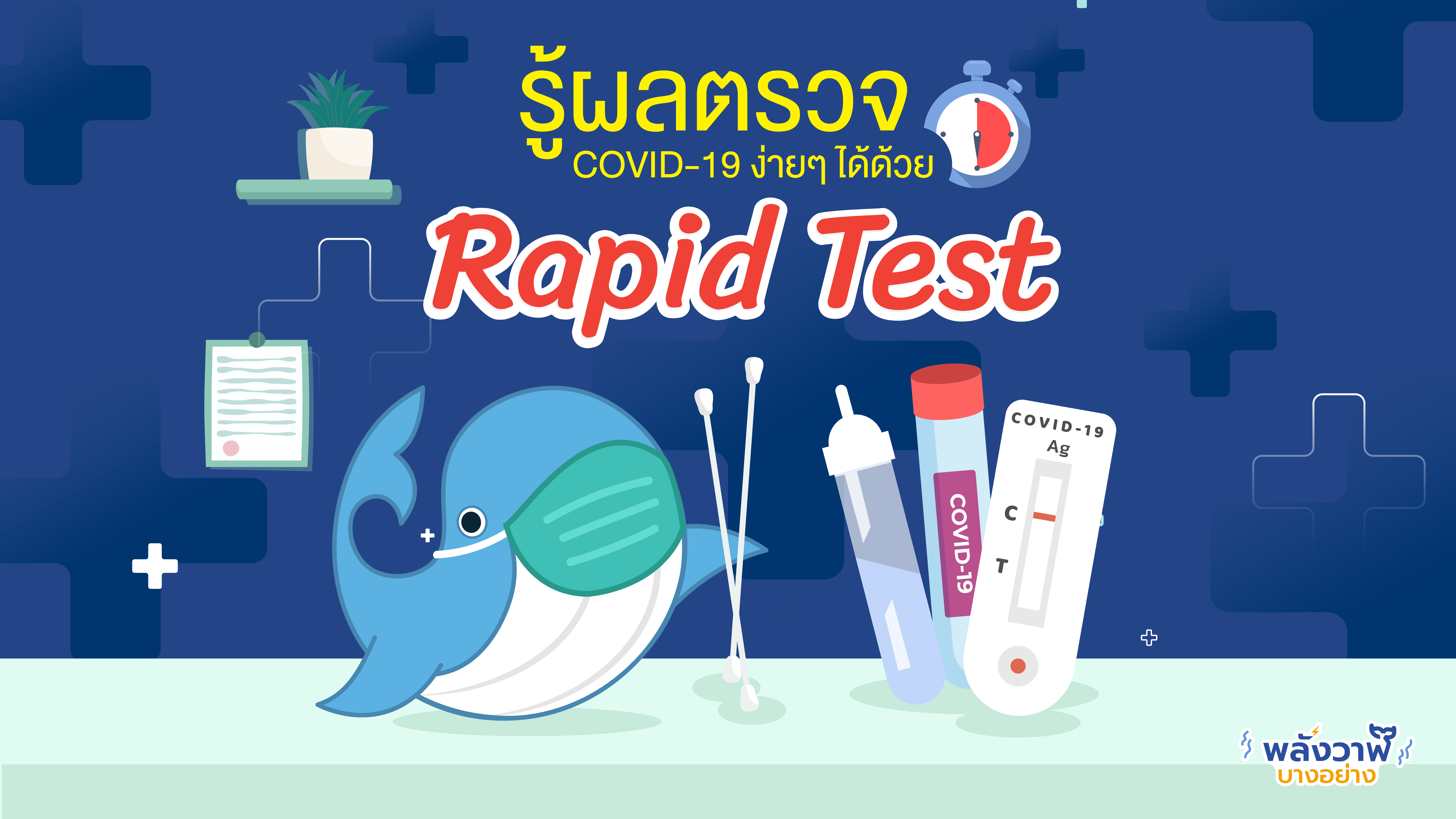 รู้ผลตรวจ COVID-19 ง่ายๆ ได้ด้วย Rapid Test, Whale Energy Station