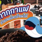 กากกาแฟช่วยลดโลกร้อนได้, Whale Energy Station