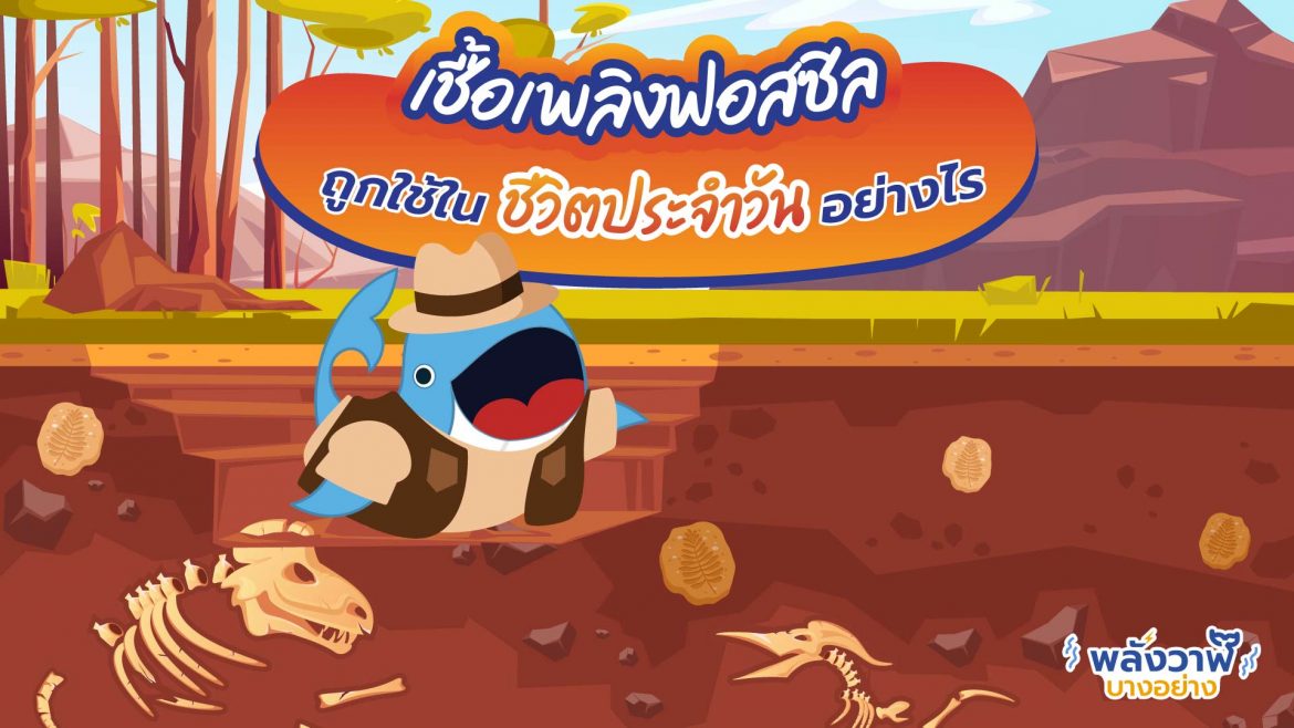 “เชื้อเพลิงฟอสซิล” ถูกใช้ในชีวิตประจำวันอย่างไร