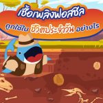 &#8220;เชื้อเพลิงฟอสซิล&#8221; ถูกใช้ในชีวิตประจำวันอย่างไร, Whale Energy Station