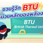 ชวนรู้จัก BTU หน่วยหลักของพลังงาน, Whale Energy Station