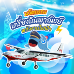 นวัตกรรมเครื่องบินพาณิชย์พลังงานไฟฟ้า, Whale Energy Station