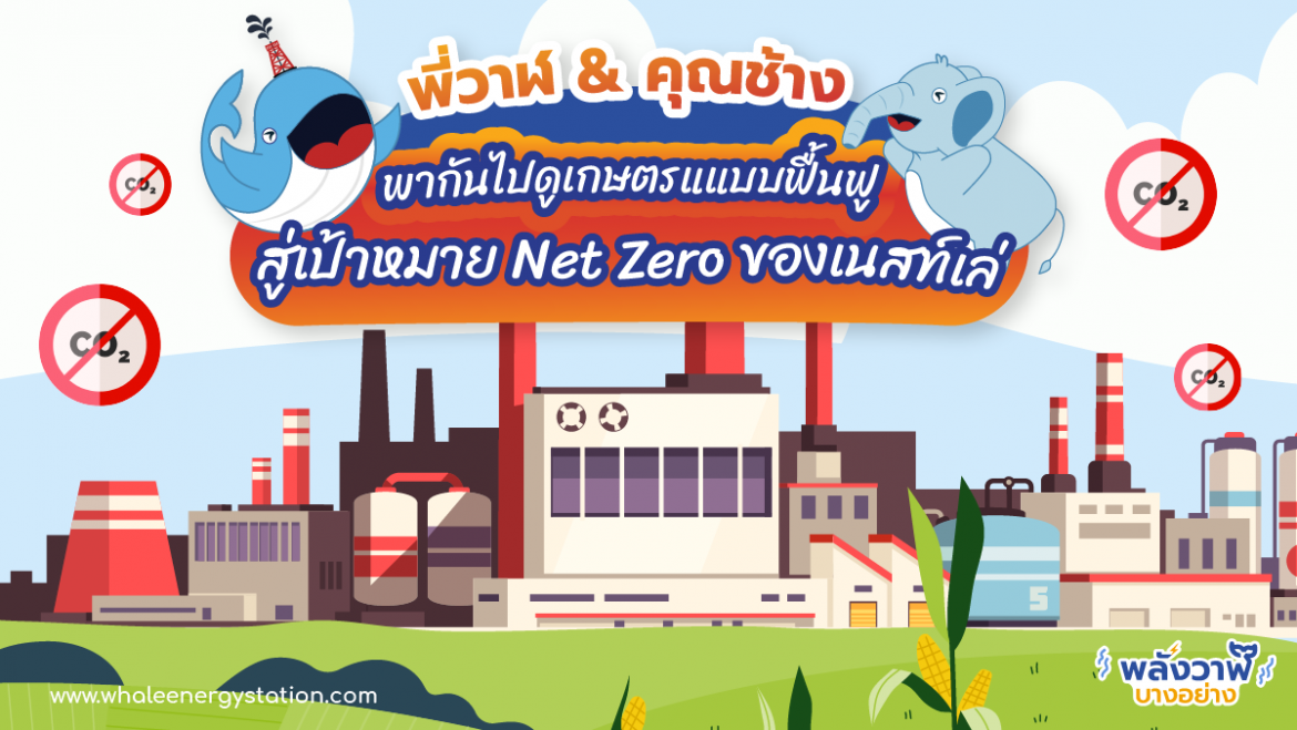 พี่วาฬ & คุุณช้าง พากันไปดูเกษตรแแบบฟื้นฟูสู่เป้าหมาย Net Zero ของเนสท์เล่