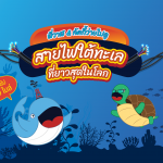 พี่วาฬ &amp; ลัคกี้ว่ายไปดูสายไฟใต้ทะเลที่ยาวสุดในโลก, Whale Energy Station