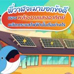 พี่วาฬจะมาบอกข้อดีของพลังงานแสงอาทิตย์ผลิตกระแสไฟฟ้านั้นดีอย่างไร, Whale Energy Station