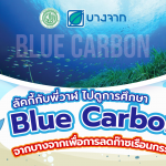 ลัคกี้ & พี่วาฬไปดูการศึกษา Blue Carbon จากบางจากเพื่อการลดก๊าซเรือนกระจก, Whale Energy Station