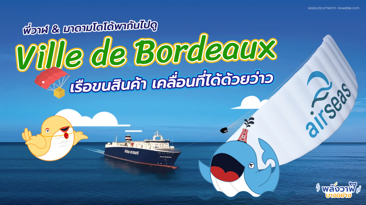 พี่วาฬ & มาดามโดโด้พากันไปดู Ville de Bordeaux เรือขนสินค้าเคลื่อนที่ได้ด้วยว่าว