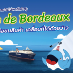 พี่วาฬ &#038; มาดามโดโด้พากันไปดู Ville de Bordeaux เรือขนสินค้าเคลื่อนที่ได้ด้วยว่าว, Whale Energy Station