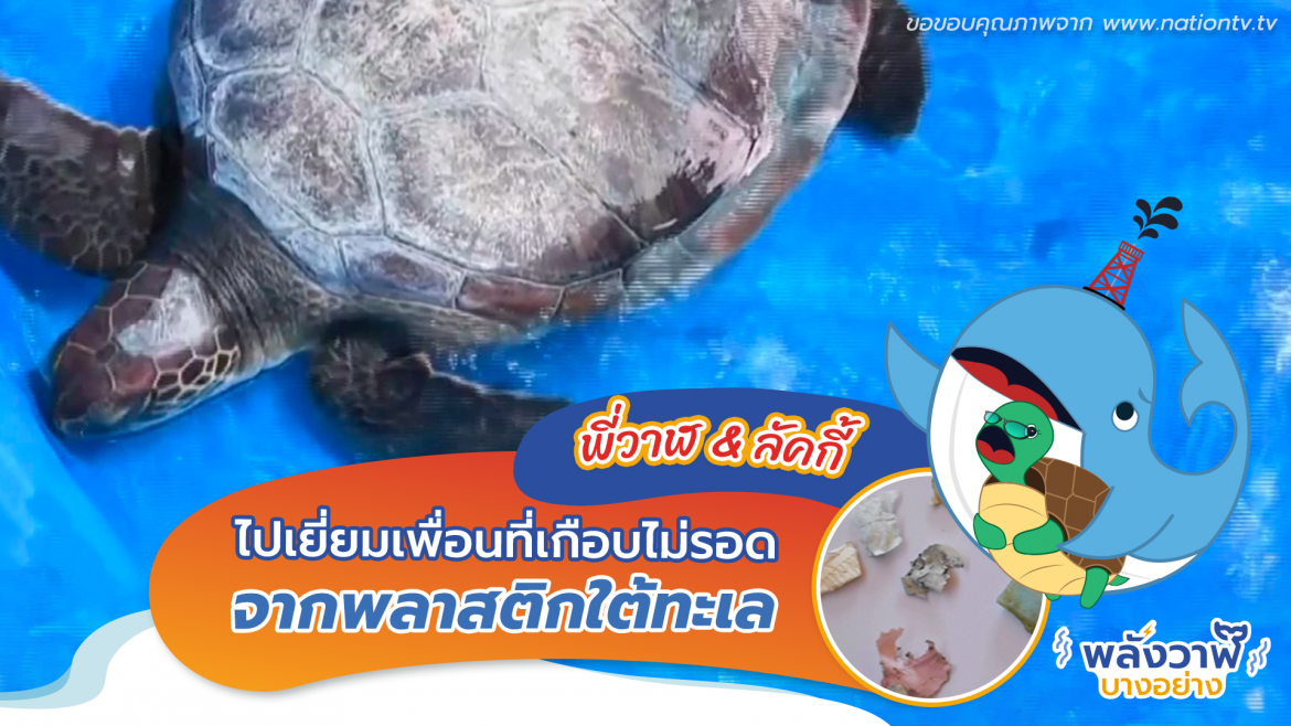 พี่วาฬ & ลัคกี้ไปเยี่ยมเพื่อนที่เกือบไม่รอดจากพลาสติกใต้ทะเล