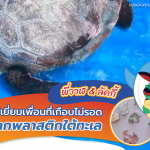 พี่วาฬ & ลัคกี้ไปเยี่ยมเพื่อนที่เกือบไม่รอดจากพลาสติกใต้ทะเล, Whale Energy Station