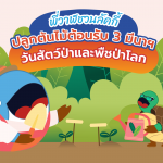 พี่วาฬชวนลัคกี้ปลูกต้นไม้ต้อนรับ 3 มีนา วันสัตว์ป่าและพืชป่าโลก, Whale Energy Station