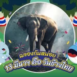 ฉลองกันหน่อย เพราะ 13 มีนานี้คือวันช้างไทย, Whale Energy Station