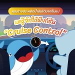 คุณช้างประหยัดน้ำมันได้มากขึ้นแน่แค่รู้จักใช้ฟังก์ชัน “Cruise Control”, Whale Energy Station