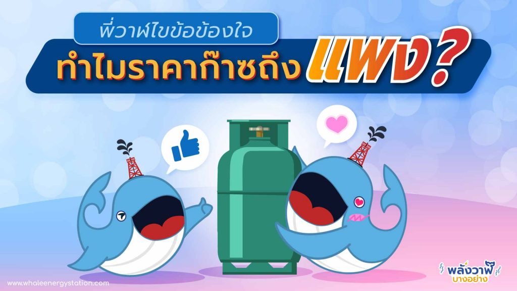 พี่วาฬไขข้อข้องใจ ทำไมราคาก๊าซแพง ?, Whale Energy Station