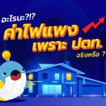 อะไรนะ?!? ค่าไฟแพงเพราะ ปตท. จริงหรือ?, Whale Energy Station