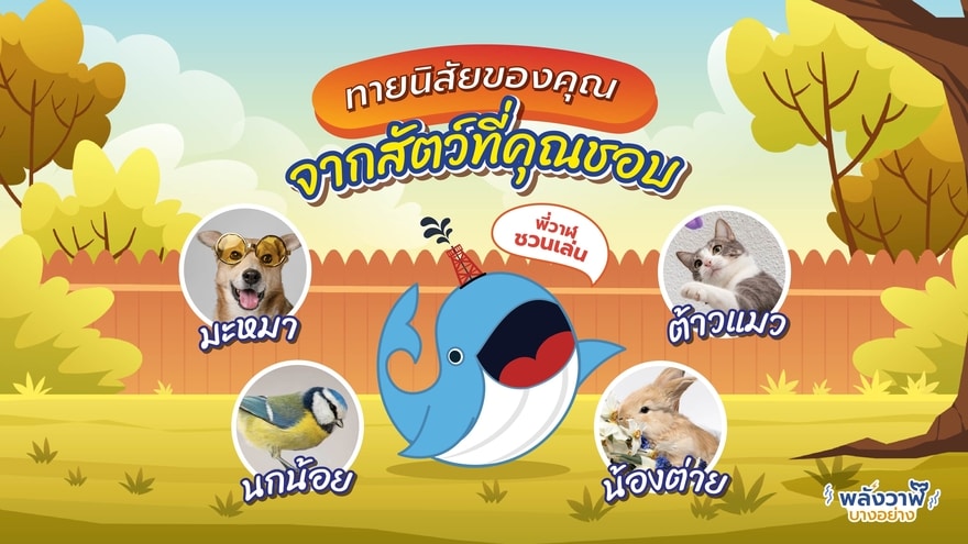 พี่วาฬชวนเล่น ทายนิสัยจากสัตว์ที่คุณชอบ