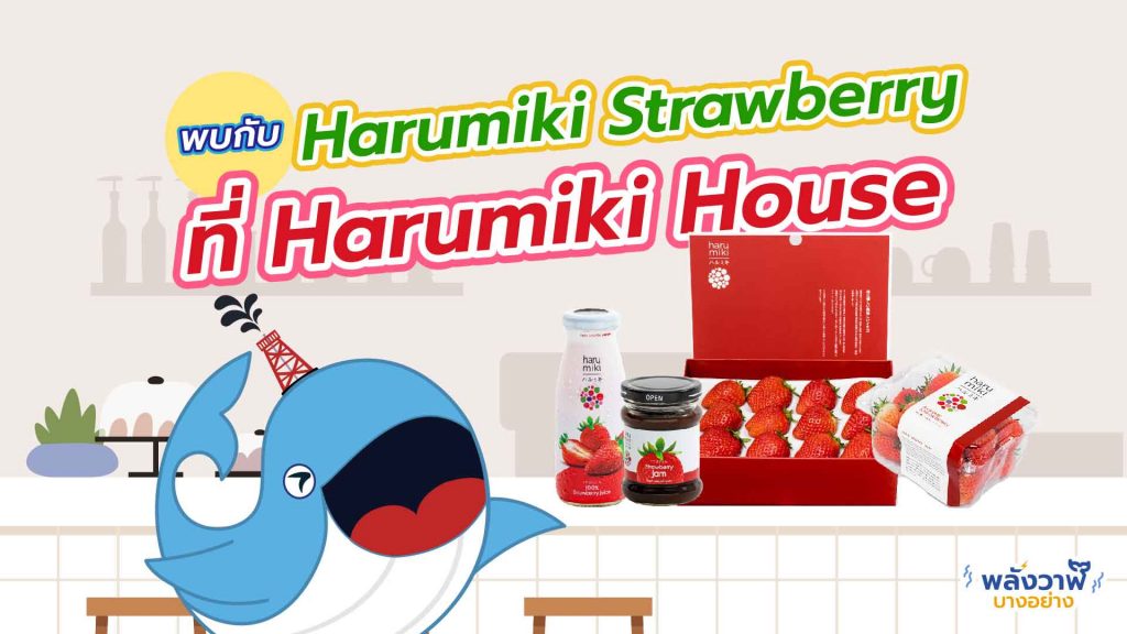 พี่วาฬพารู้จัก Harumiki Strawberry เมืองหนาวในไทยที่มีให้กินทั้งปี, Whale Energy Station