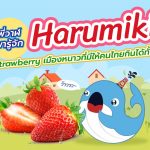 พี่วาฬพารู้จัก Harumiki Strawberry เมืองหนาวในไทยที่มีให้กินทั้งปี, Whale Energy Station