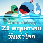 พี่วาฬและลัคกี้ชวนรู้ 23 พฤษภาคม วันเต่าโลก, Whale Energy Station