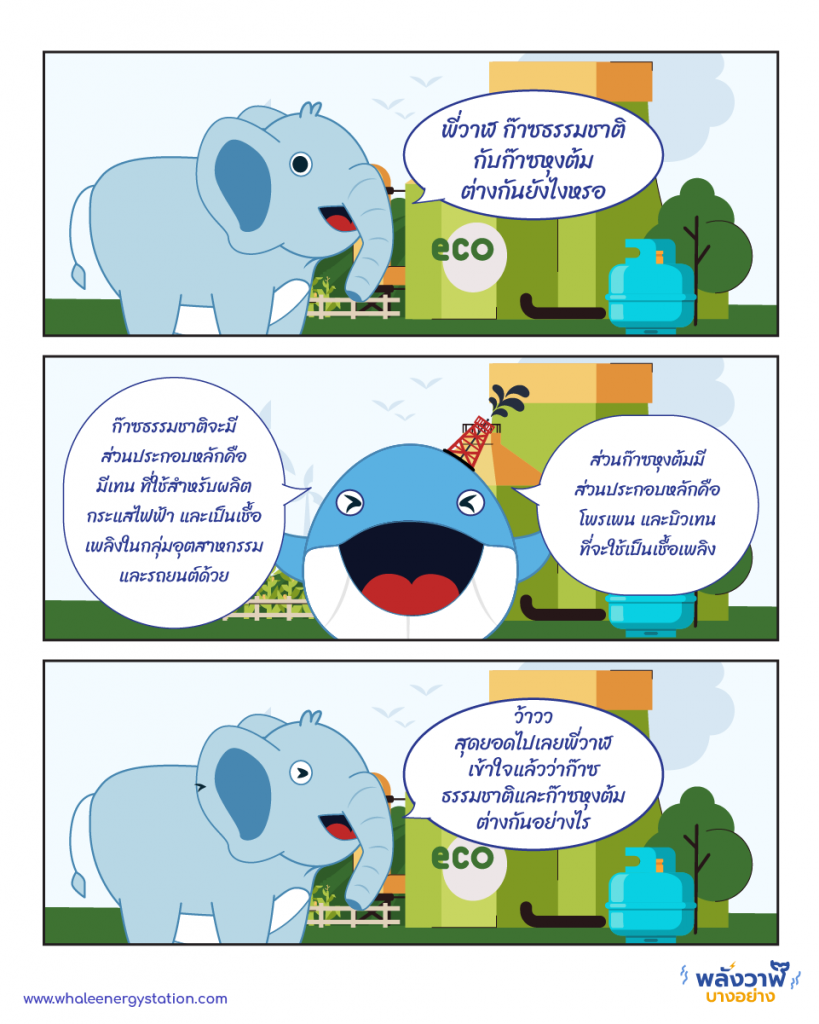 พี่วาฬและคุุณช้างมาเคลียร์ ก๊าซธรรมชาติและก๊าซหุ้งต้มต่างกันอย่างไร, Whale Energy Station