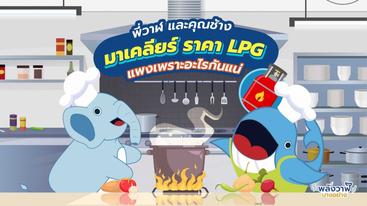 พี่วาฬ และคุณช้างมาเคลียร์ ราคา LPG แพงเพราะอะไรกันแน่